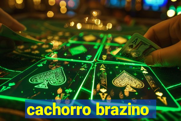 cachorro brazino