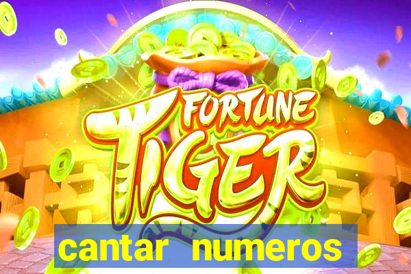 cantar numeros bingo online