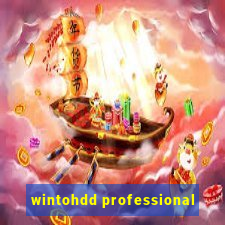 wintohdd professional