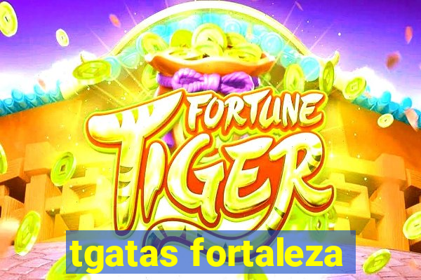 tgatas fortaleza