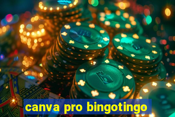 canva pro bingotingo