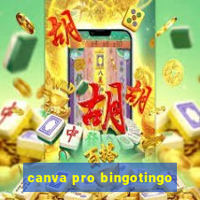 canva pro bingotingo