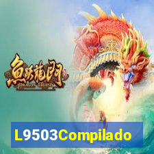 L9503Compilado