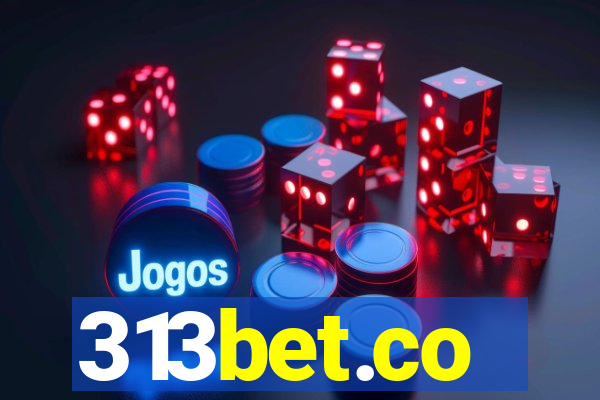 313bet.co