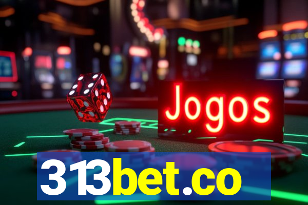 313bet.co