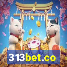 313bet.co