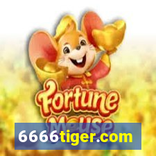 6666tiger.com