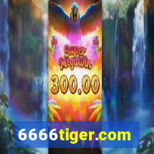 6666tiger.com