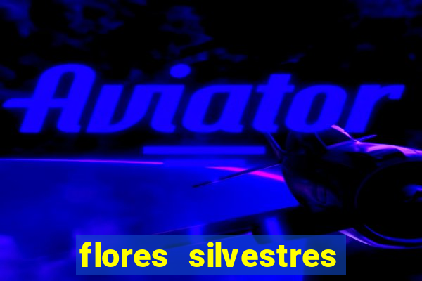 flores silvestres desbravadores desbravadores 25