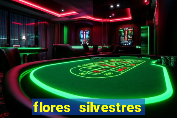 flores silvestres desbravadores desbravadores 25