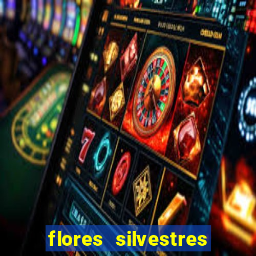 flores silvestres desbravadores desbravadores 25