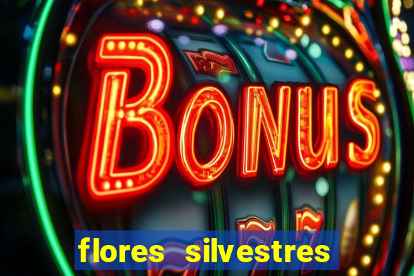 flores silvestres desbravadores desbravadores 25