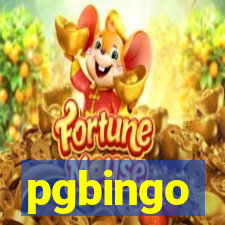 pgbingo