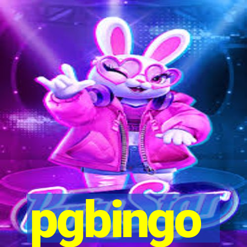 pgbingo