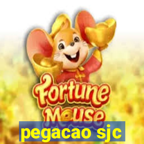 pegacao sjc