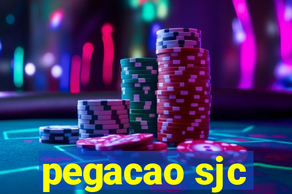 pegacao sjc