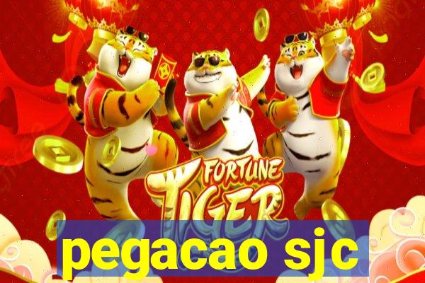 pegacao sjc