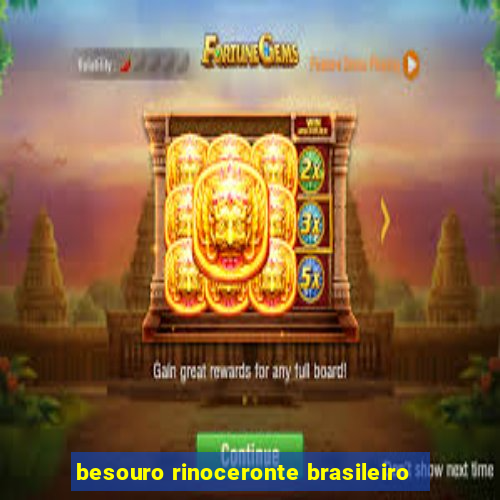 besouro rinoceronte brasileiro