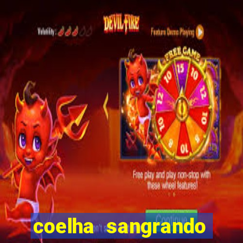 coelha sangrando pela parte intima