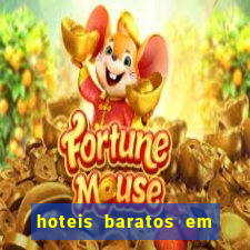 hoteis baratos em cruzeiro sp