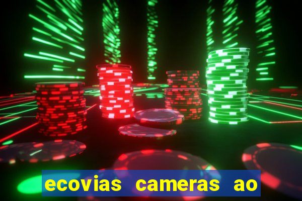 ecovias cameras ao vivo santos