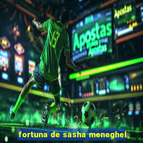 fortuna de sasha meneghel