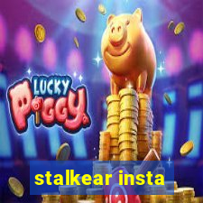 stalkear insta