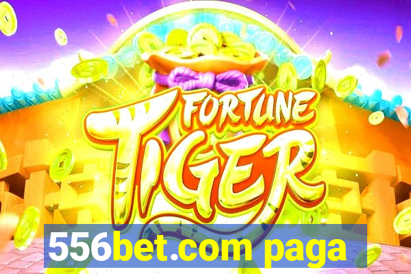 556bet.com paga