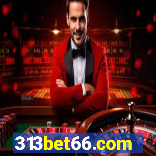 313bet66.com