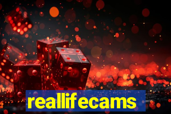 reallifecams