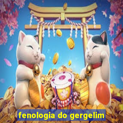 fenologia do gergelim