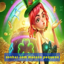 sonhar com macaco pequeno