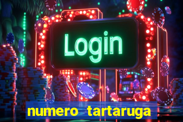 numero tartaruga jogo do bicho