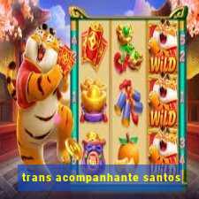 trans acompanhante santos