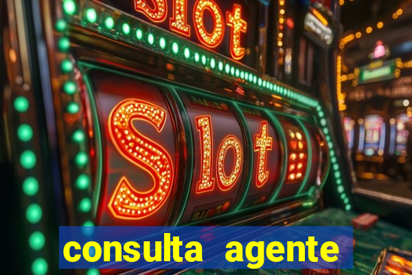 consulta agente autuador sp