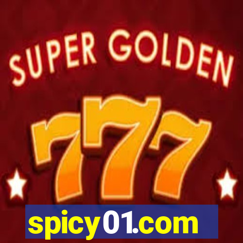 spicy01.com