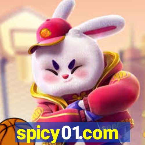 spicy01.com