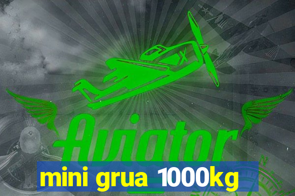 mini grua 1000kg