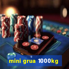 mini grua 1000kg