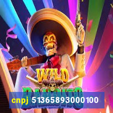 cnpj 51365893000100