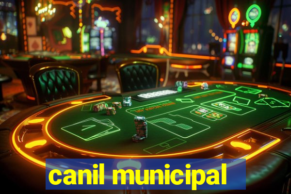 canil municipal