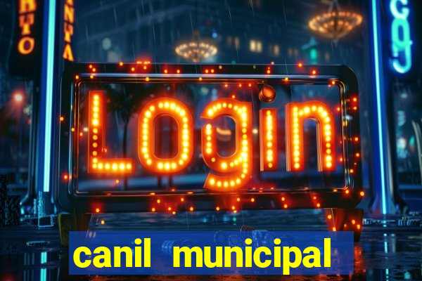 canil municipal porto alegre