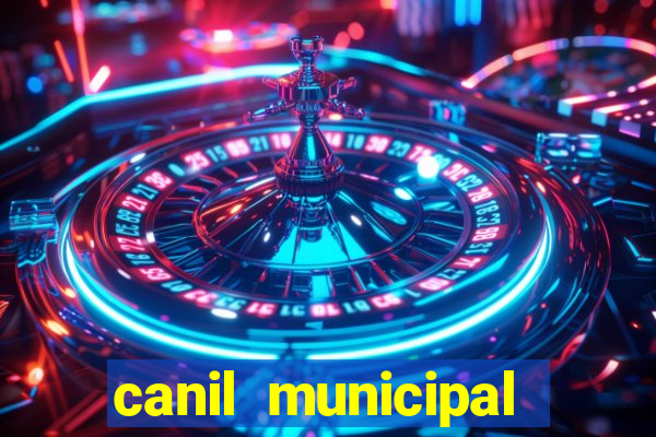 canil municipal porto alegre