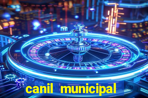 canil municipal porto alegre