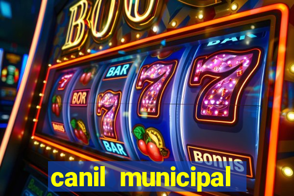 canil municipal porto alegre