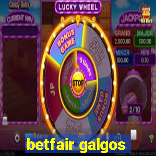 betfair galgos