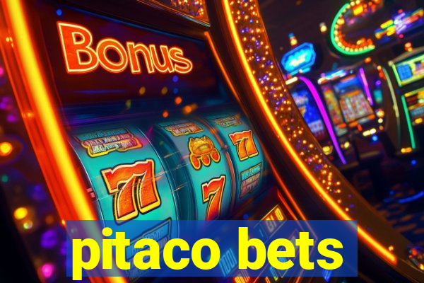 pitaco bets