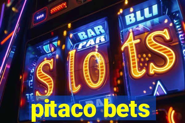 pitaco bets