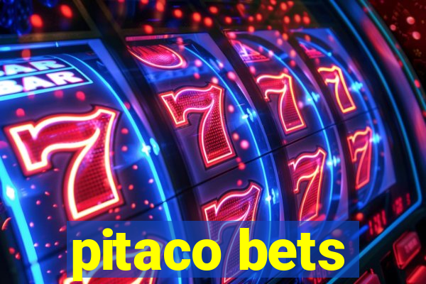 pitaco bets