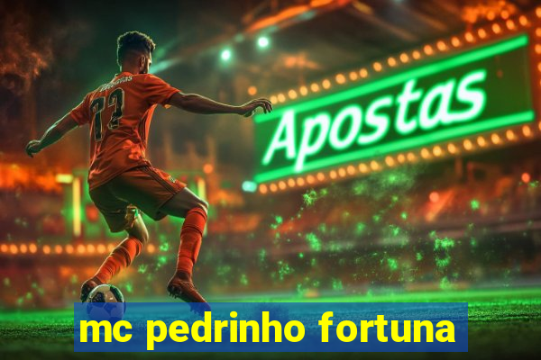 mc pedrinho fortuna